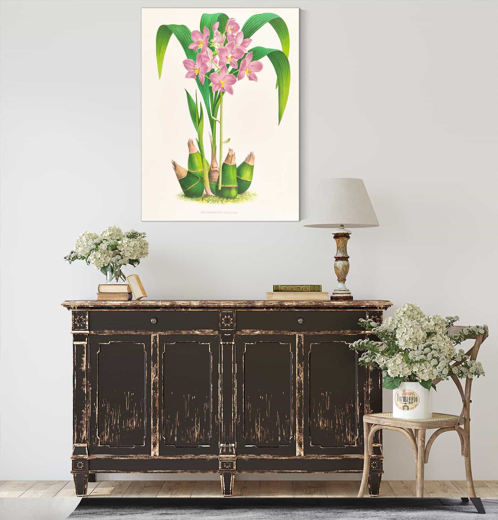 Spathoglottis Plicata by Jean Jules Linden