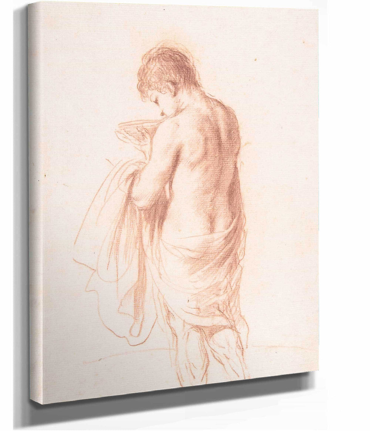 Standing Youth Seen From Behind Holding A Bowl   by Guercino
