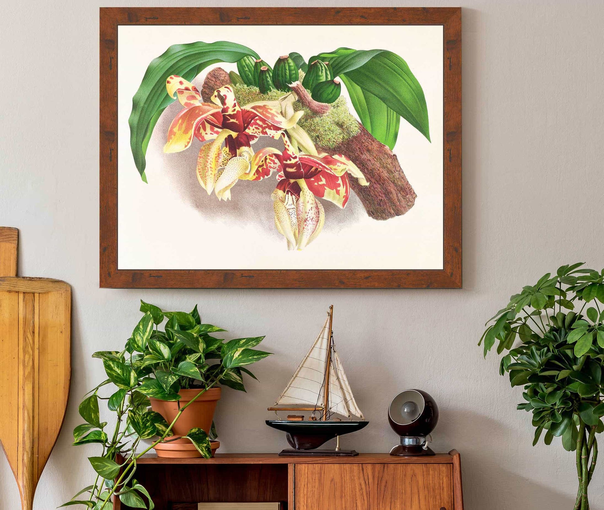 Stanhopea Tigrina by Jean Jules Linden