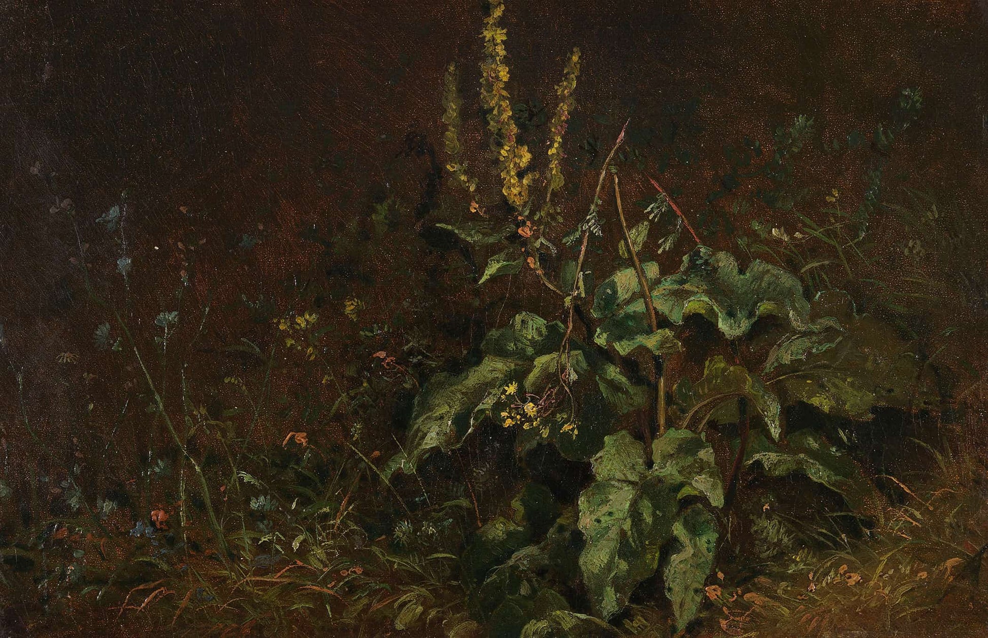 Stauden Konigskerzen Und Graser by Carl Spitzweg