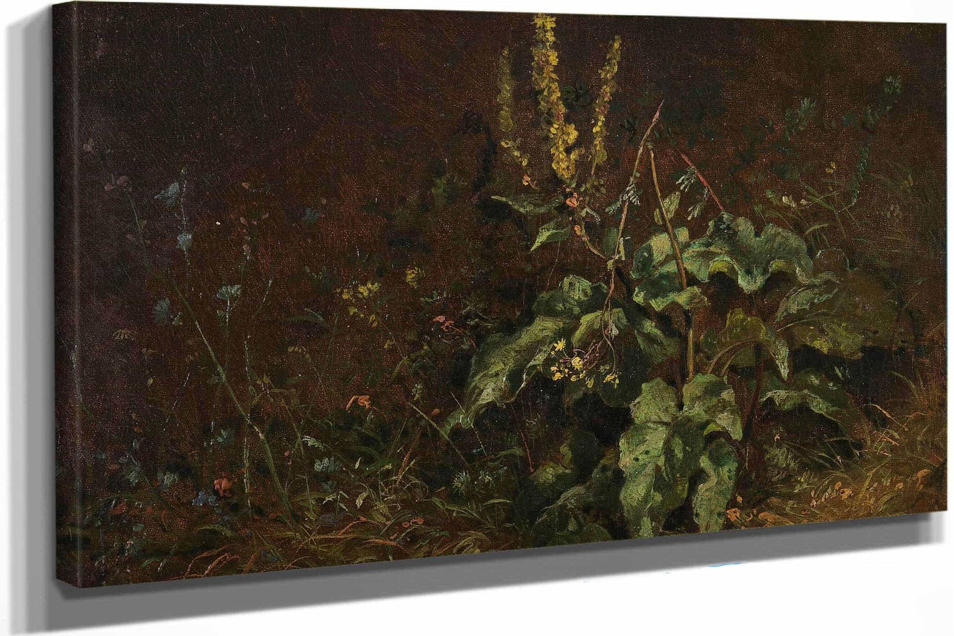 Stauden Konigskerzen Und Graser by Carl Spitzweg