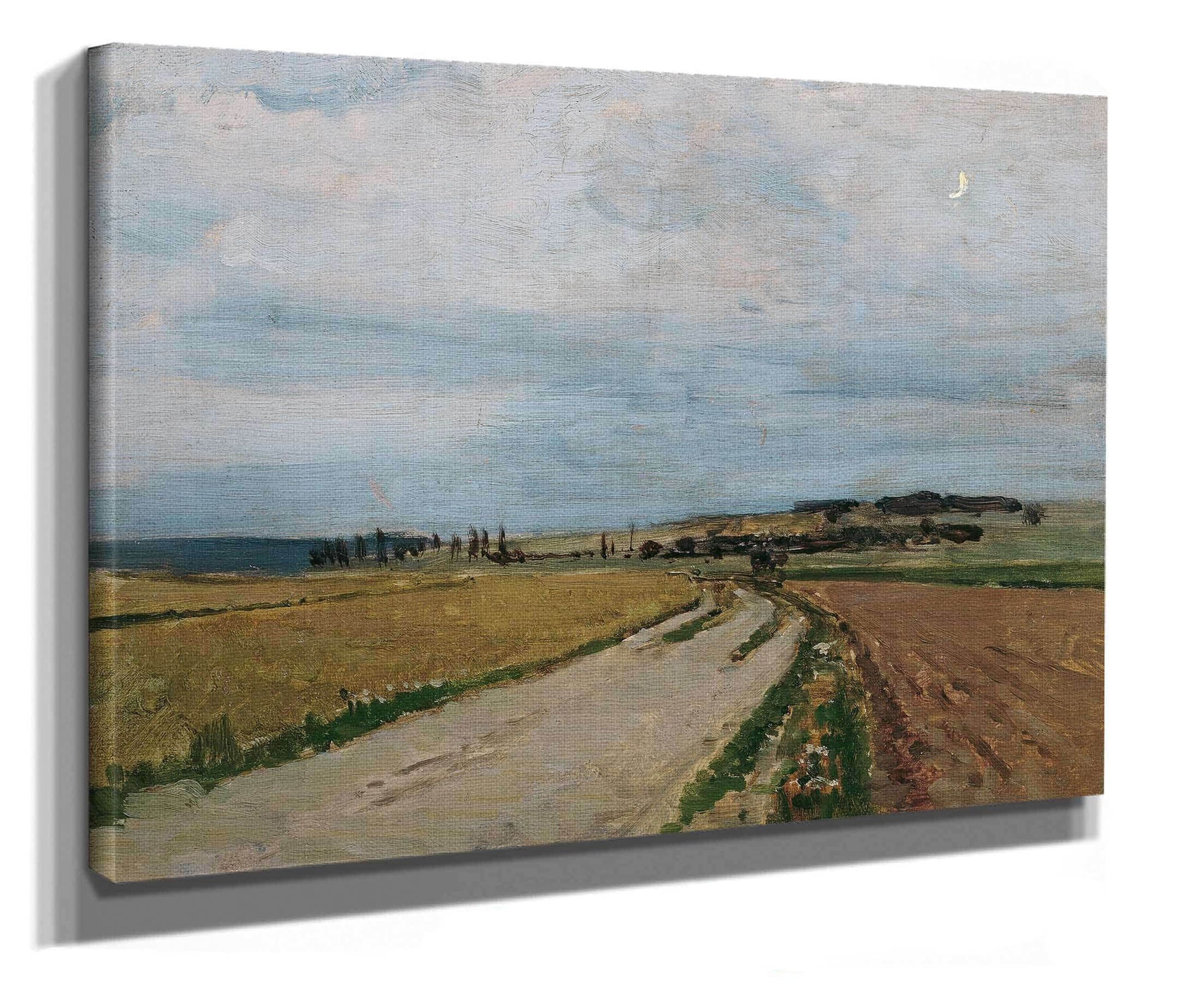 Stimmungsstudie Abend Michelhausen Plankenberg by Carl Moll