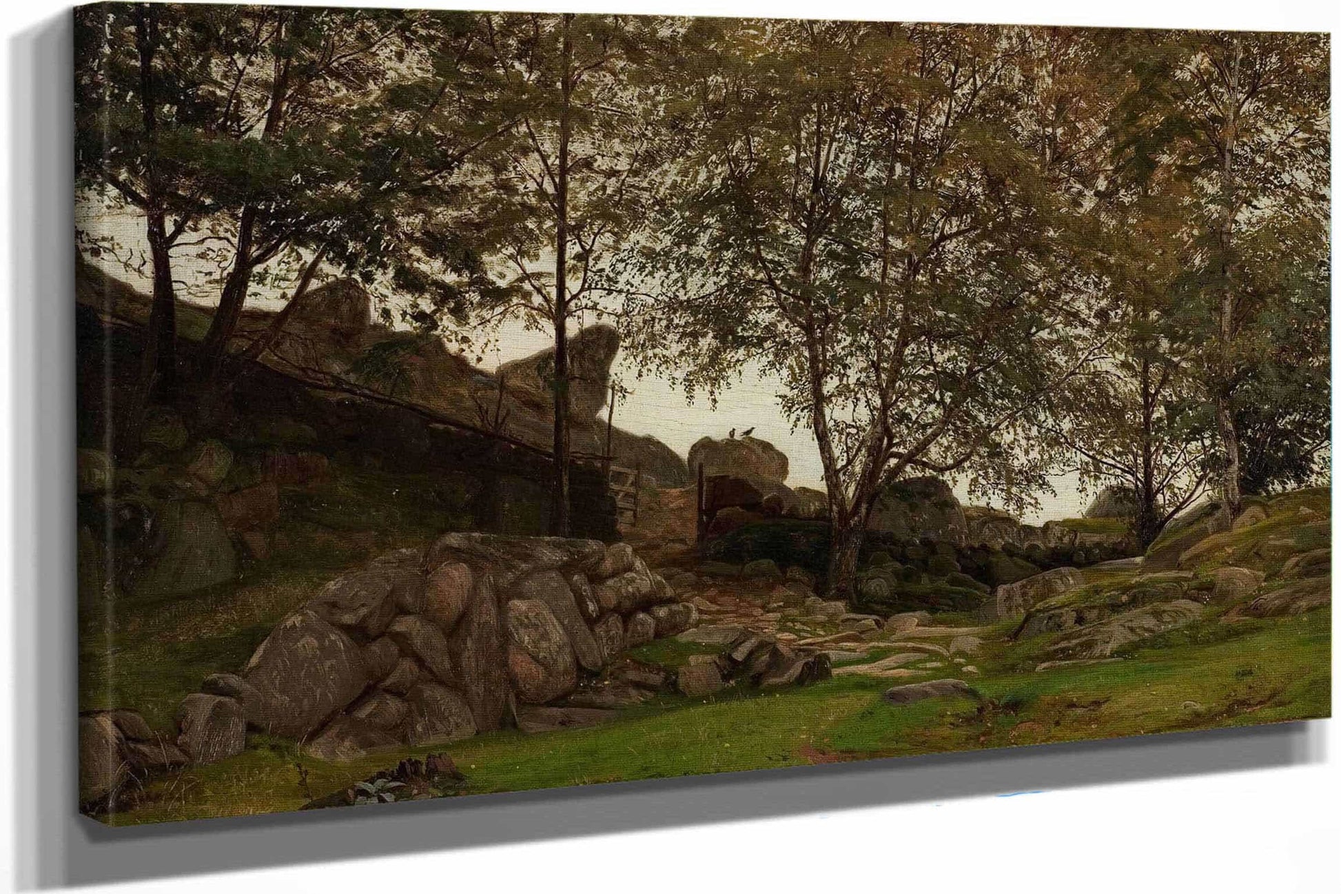 Studie  by Amaldus Nielsen