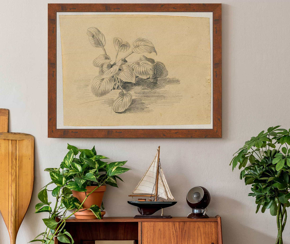 Studie Einer Blattpflanze by Johann Peter Krafft