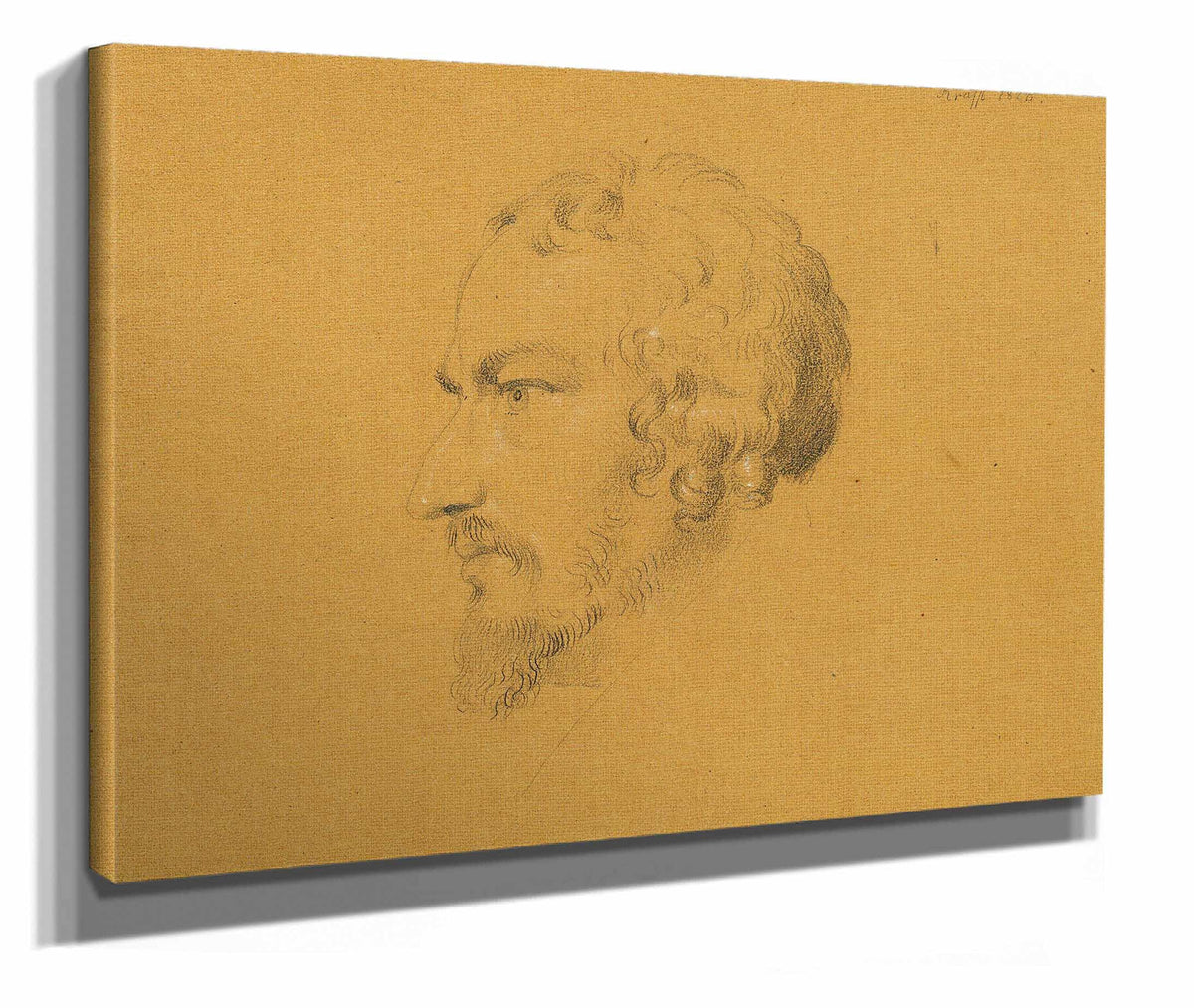 Studie Eines Bartigen Mannes by Johann Peter Krafft