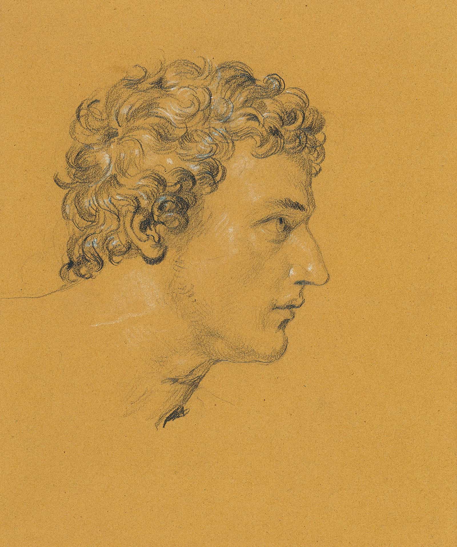 Studie Eines Kopfes by Johann Peter Krafft