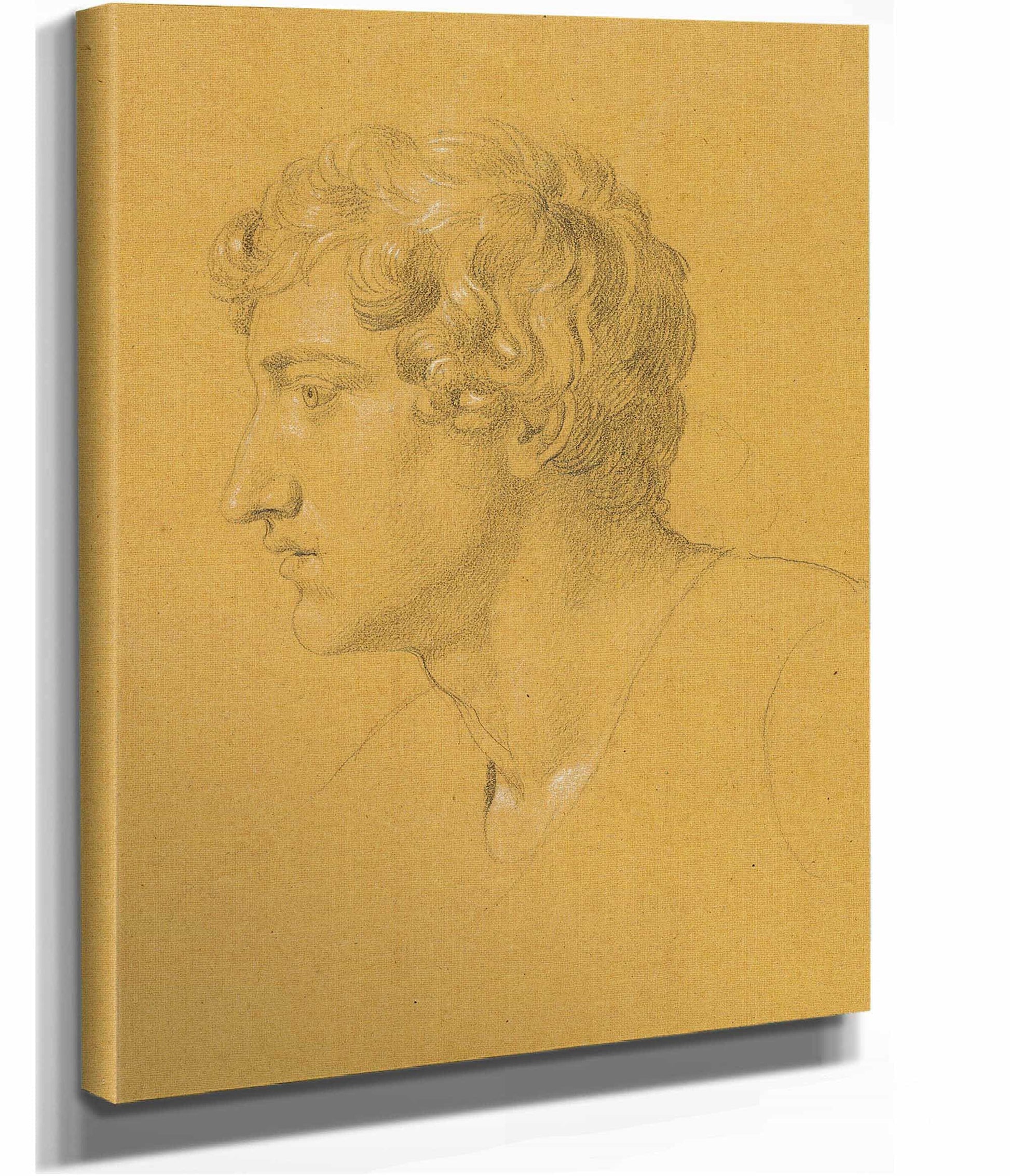 Studie Eines Kopfes by Johann Peter Krafft