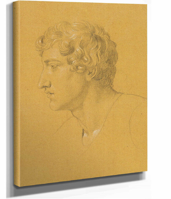 Studie Eines Kopfes by Johann Peter Krafft