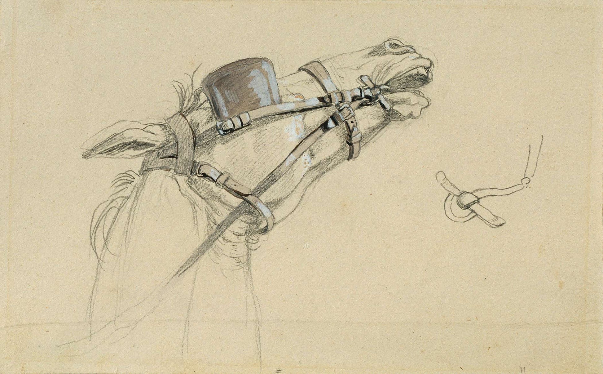 Studie Eines Pferdekopfes Zu Ruckkehr Des Kaisers Franz Aus Pressburg Before by Johann Peter Krafft