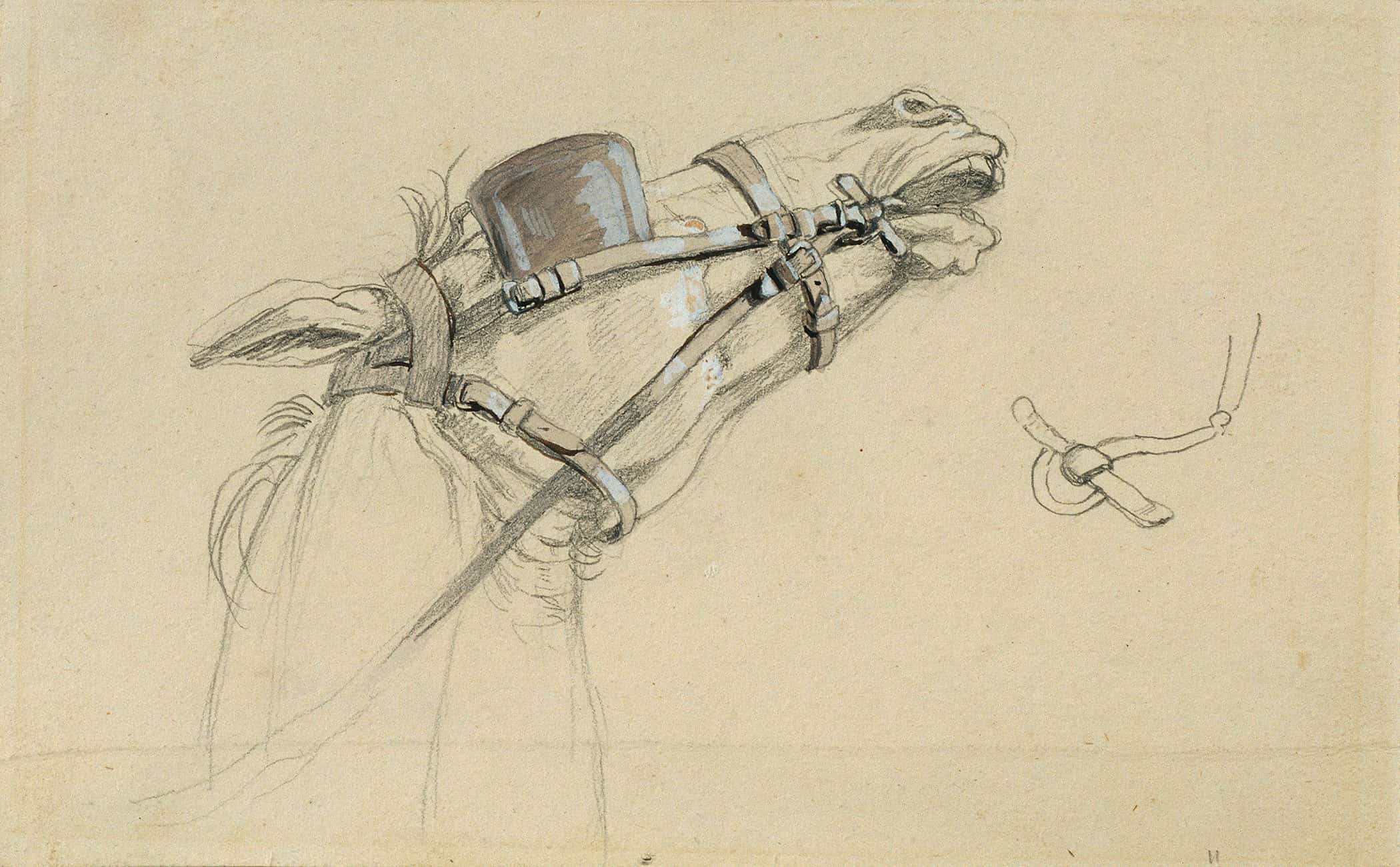 Studie Eines Pferdekopfes Zu Ruckkehr Des Kaisers Franz Aus Pressburg Before by Johann Peter Krafft