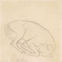 Studies Of A Chin A Sleeping Dog Annotated Greyhound by Sir John Everett Millais
