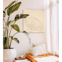 Studies Of A Chin A Sleeping Dog Annotated Greyhound by Sir John Everett Millais