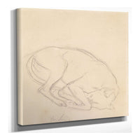 Studies Of A Chin A Sleeping Dog Annotated Greyhound by Sir John Everett Millais