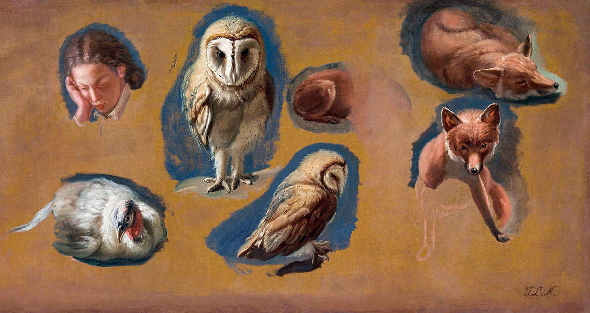 Studies Of A Fox A Barn Owl A Peahen And The Head Of A Young Man by Jacques Laurent Agasse