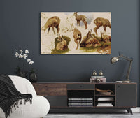 Studies Of An Isard by Rosa Bonheur