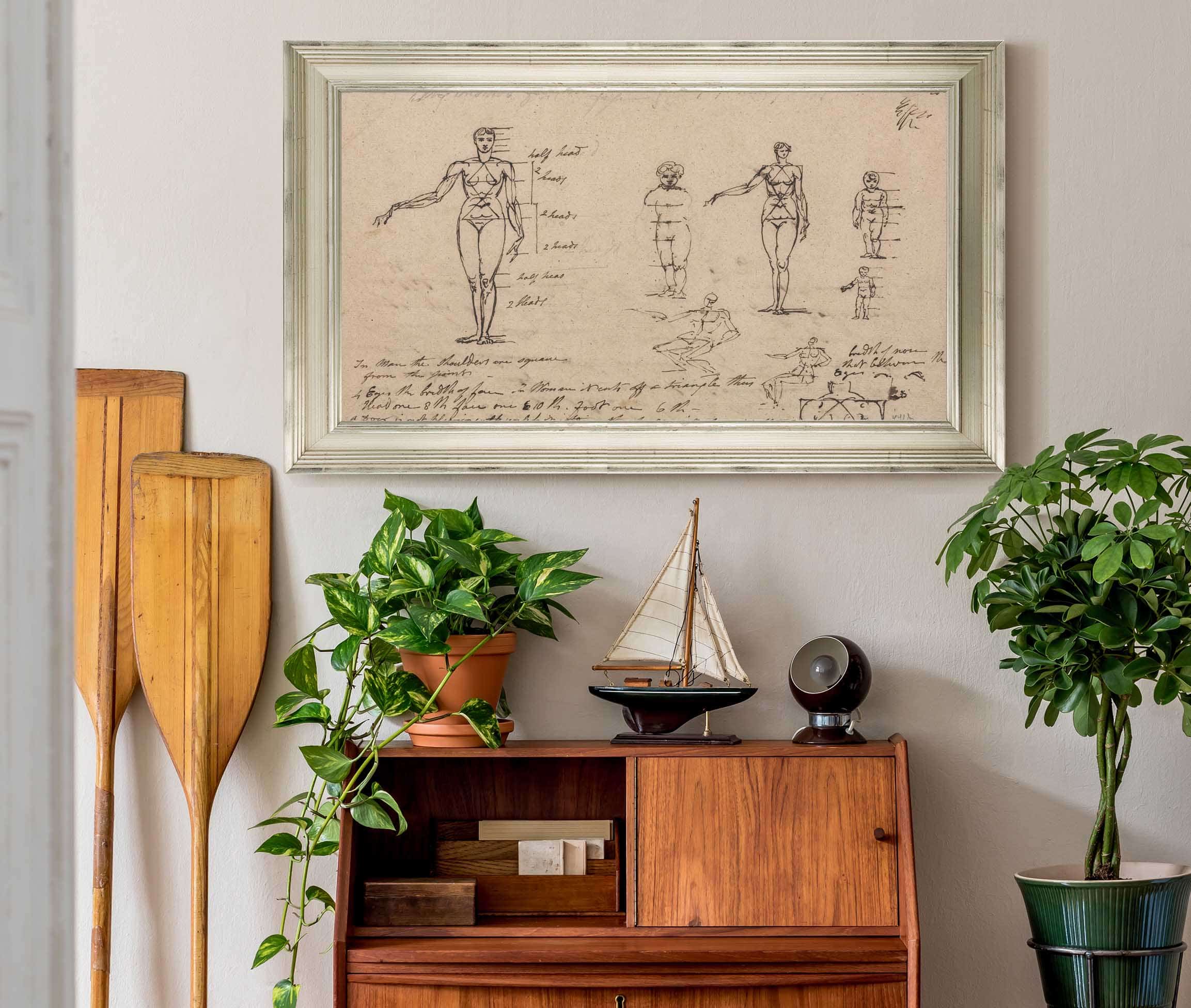 Studies Of Anatomy Measurements And Writing by James Ward