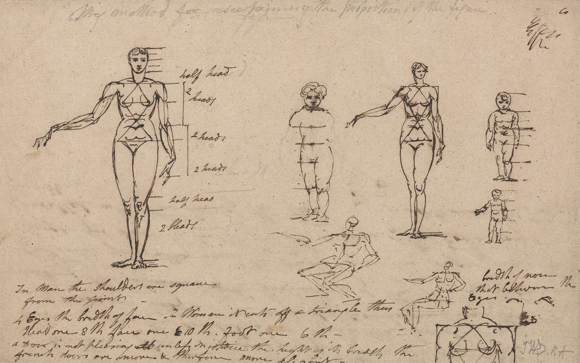 Studies Of Anatomy Measurements And Writing by James Ward