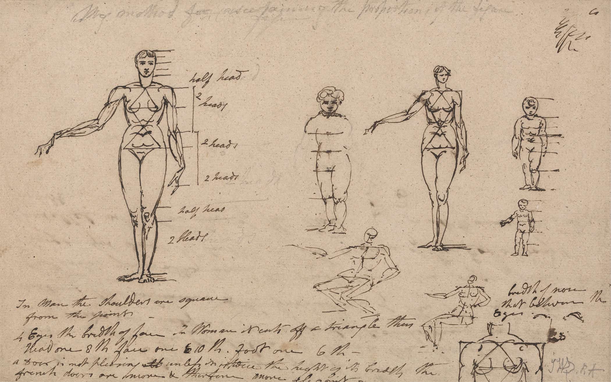 Studies Of Anatomy Measurements And Writing by James Ward