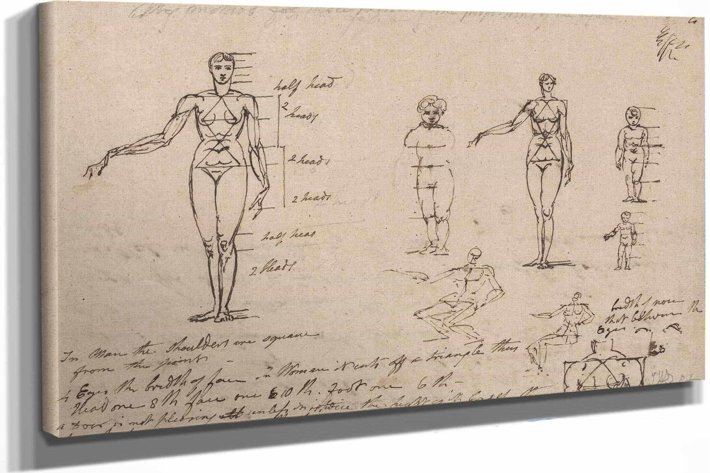 Studies Of Anatomy Measurements And Writing by James Ward