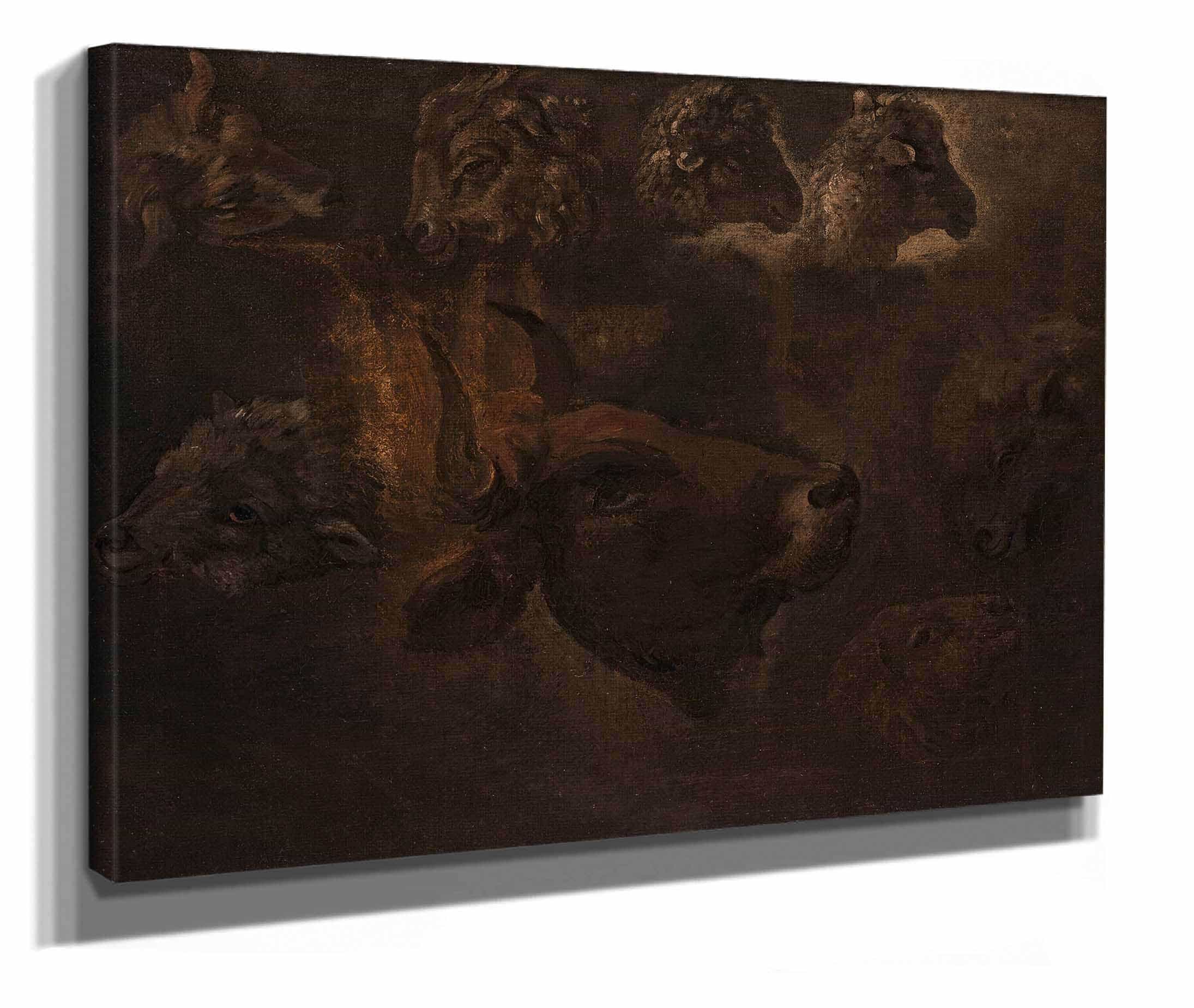 Studies Of Animal Heads Between And by Thomas Cole