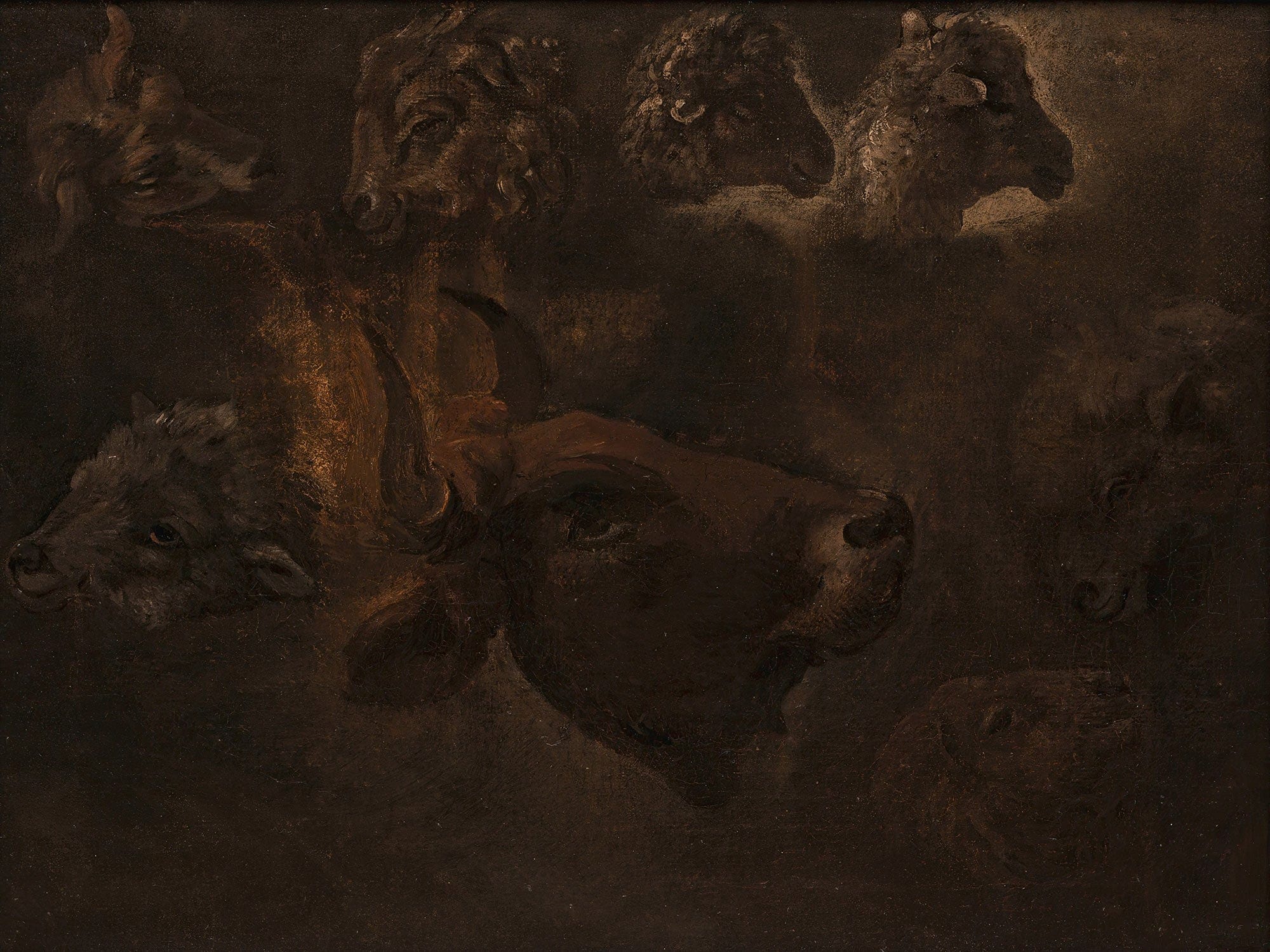 Studies Of Animal Heads Between And by Thomas Cole