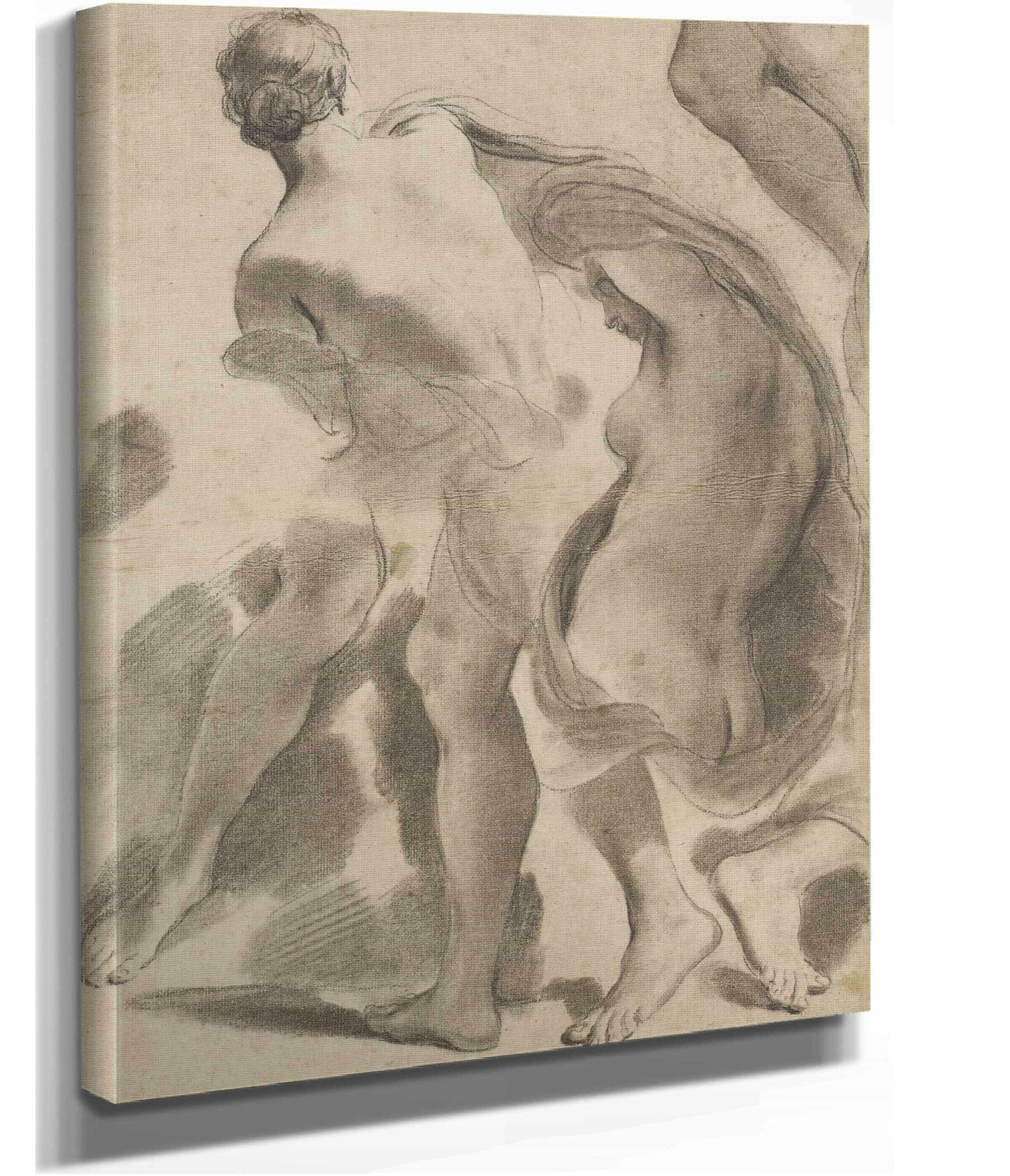Studies Of Female Nudes by Gaetano Gandolfi