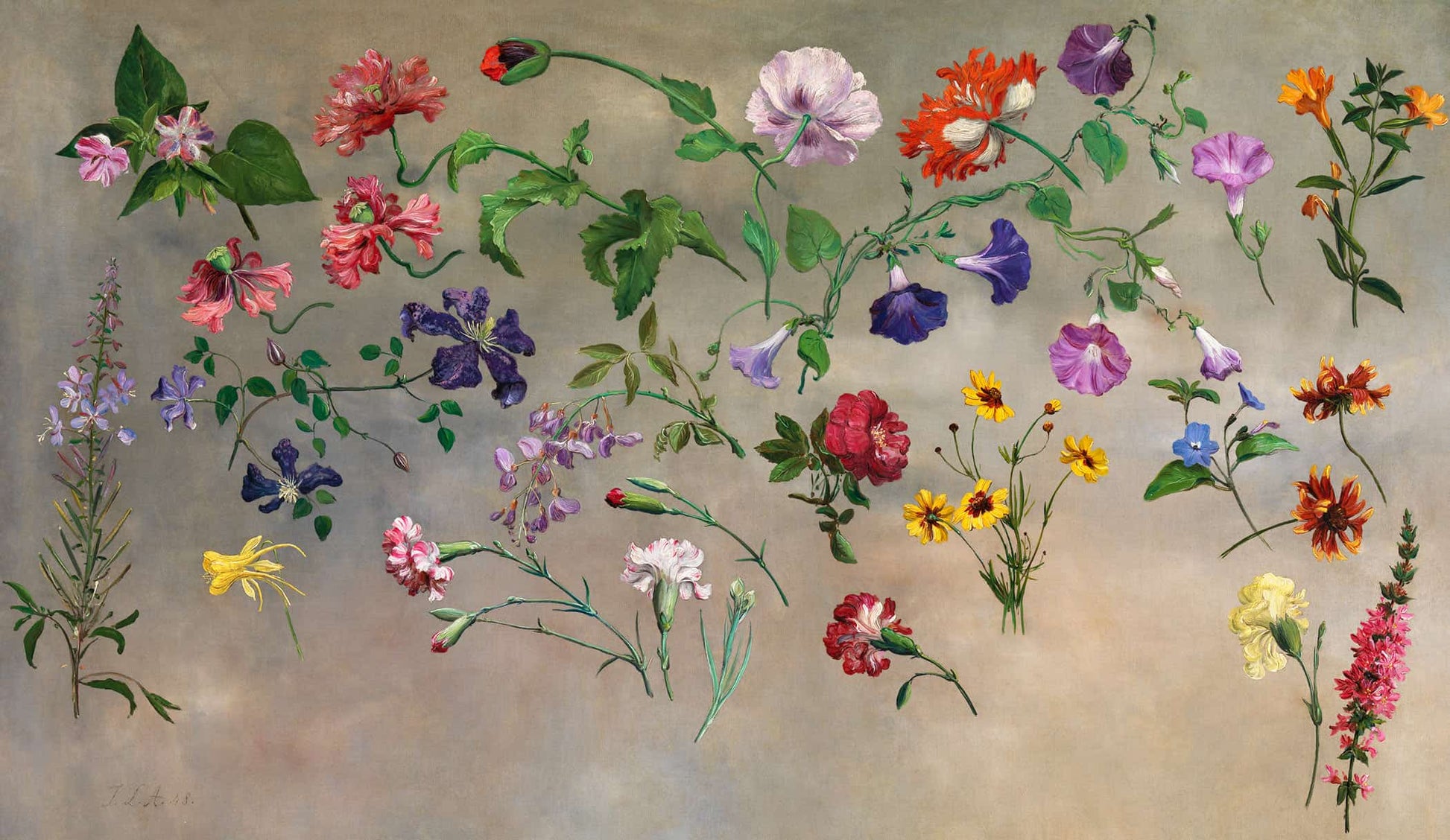 Studies Of Flowers by Jacques Laurent Agasse
