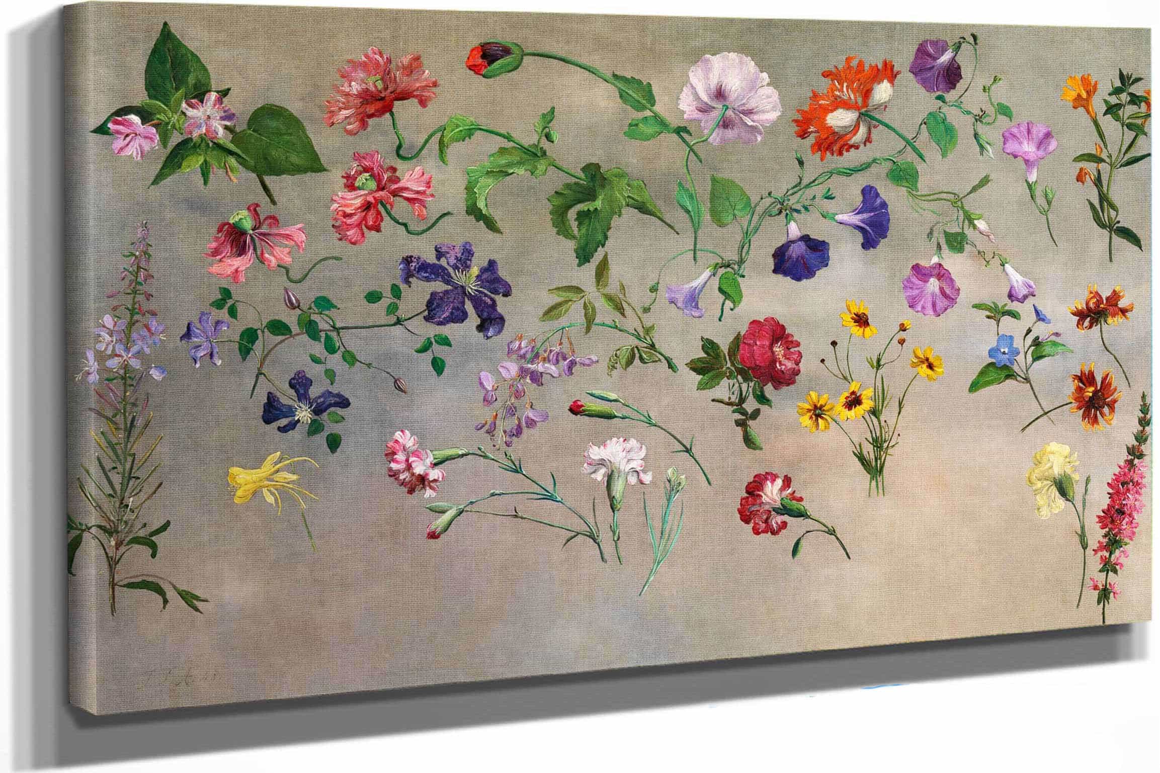Studies Of Flowers by Jacques Laurent Agasse