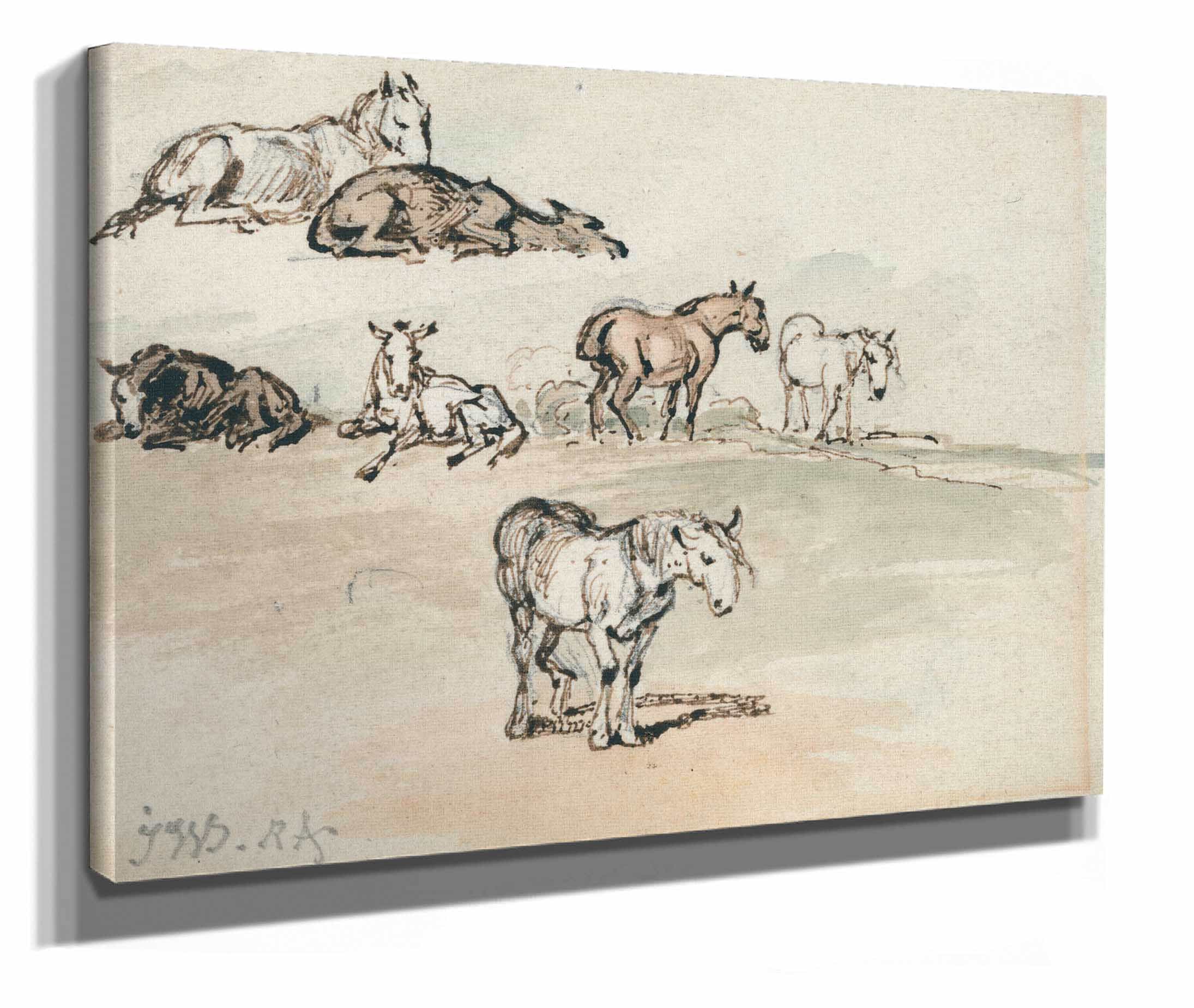 Studies Of Horses by James Ward