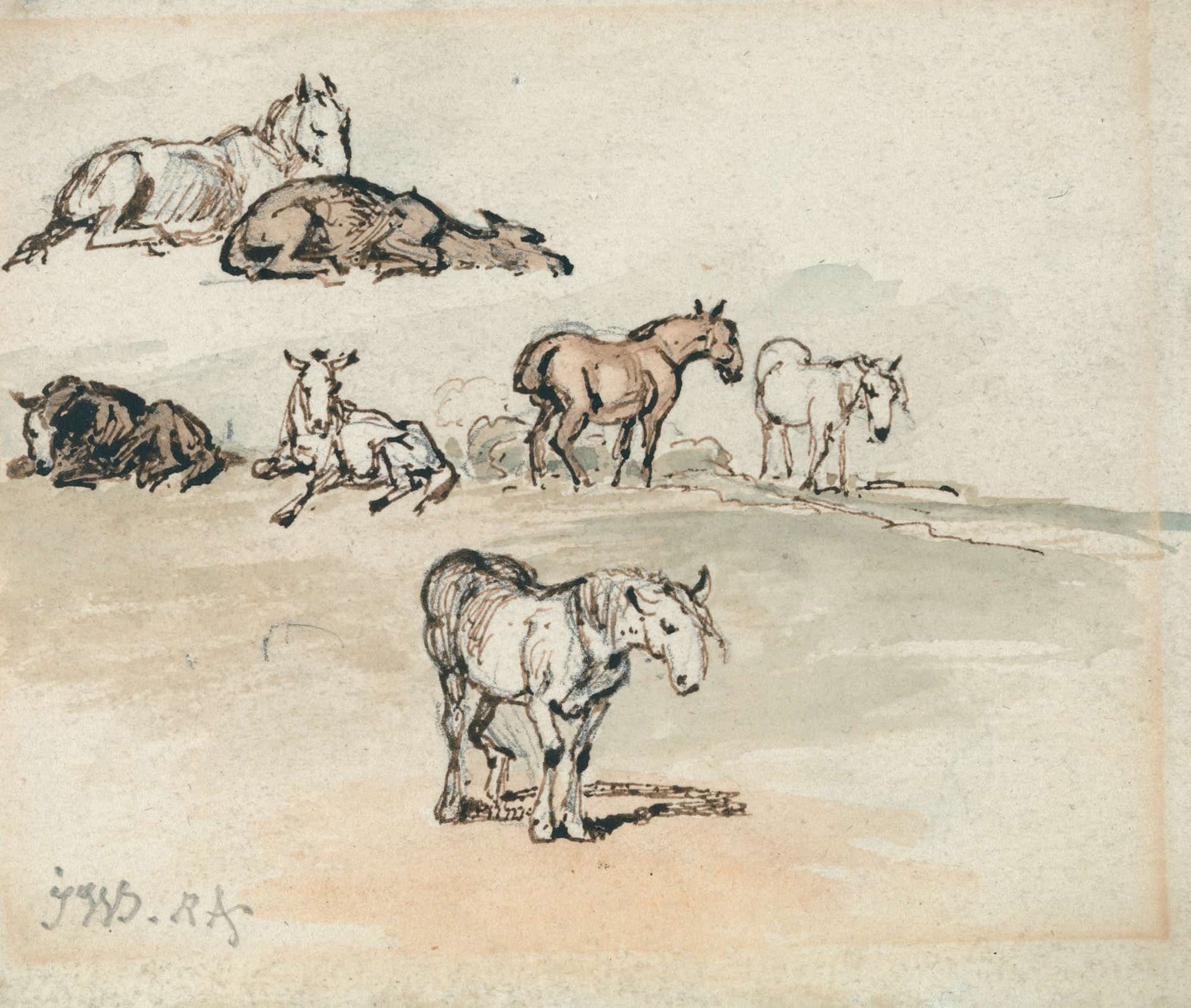 Studies Of Horses by James Ward