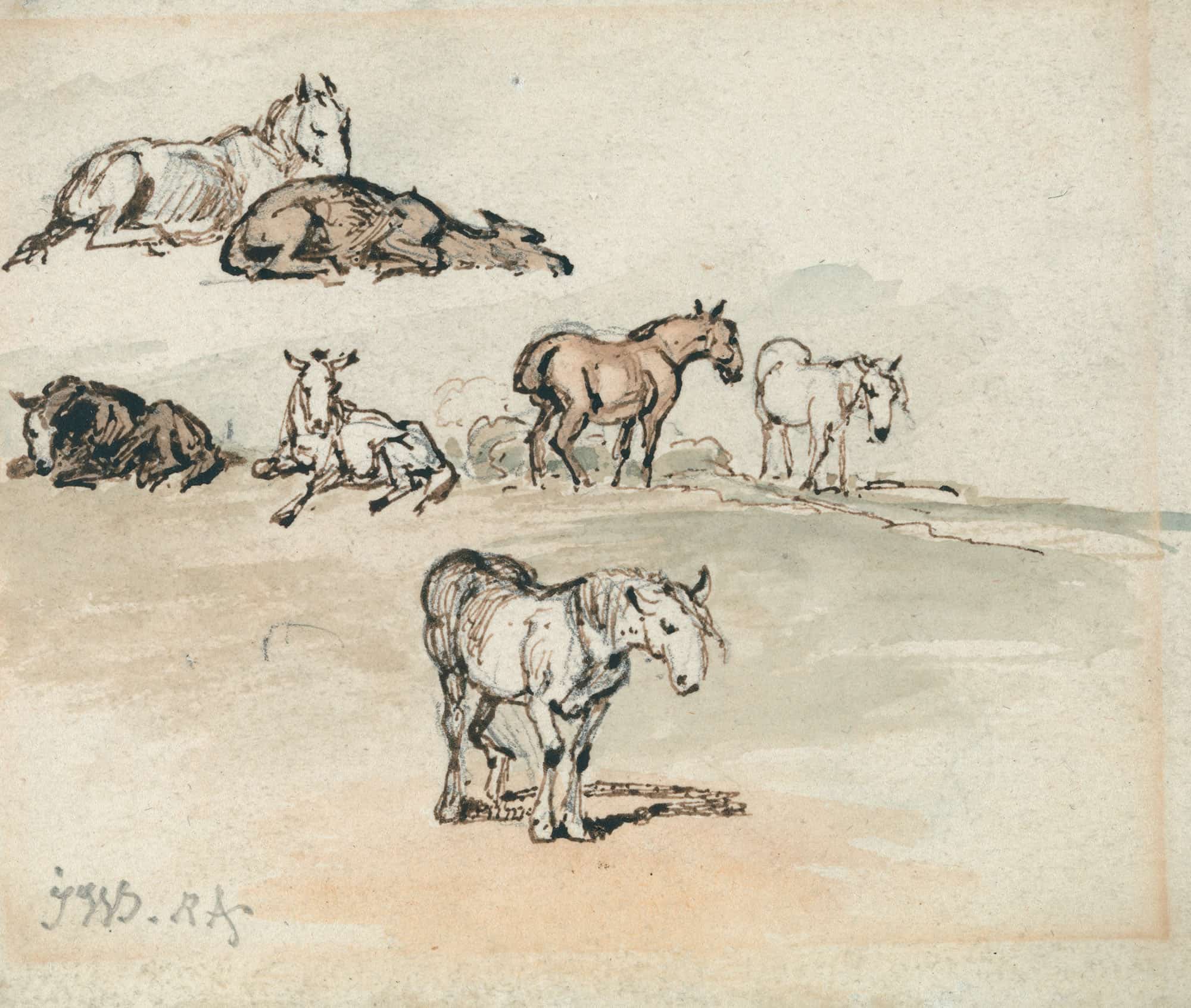 Studies Of Horses by James Ward