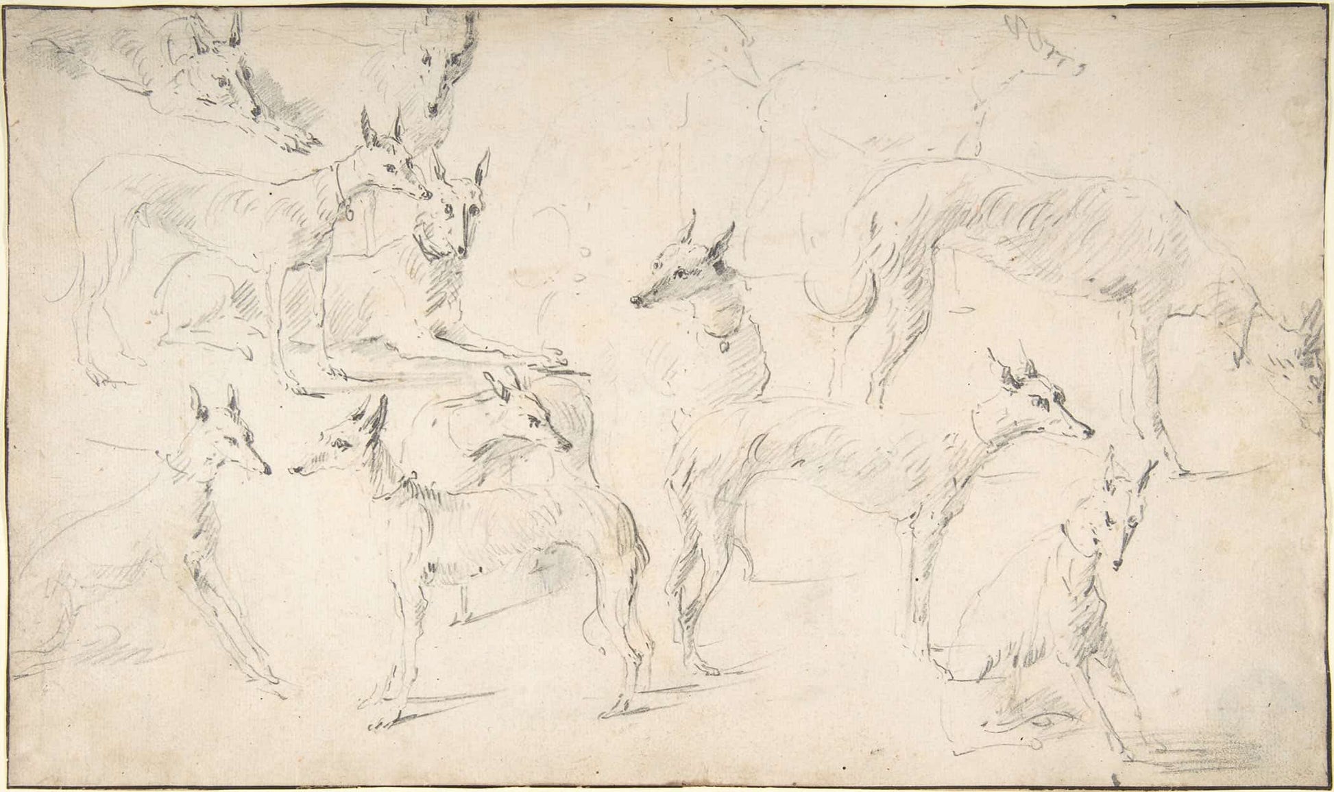 Studies Of Hounds Th Century by David Teniers The Younger