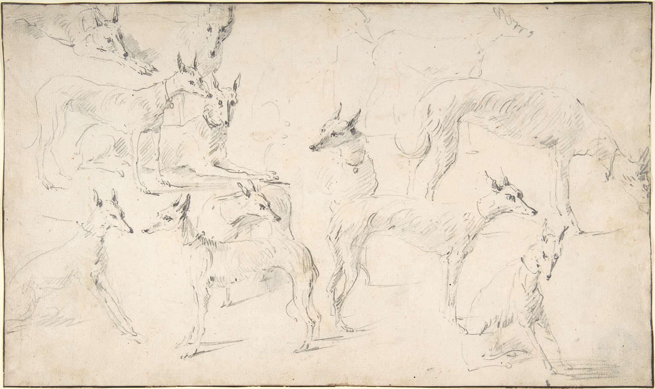 Studies Of Hounds Th Century by David Teniers The Younger