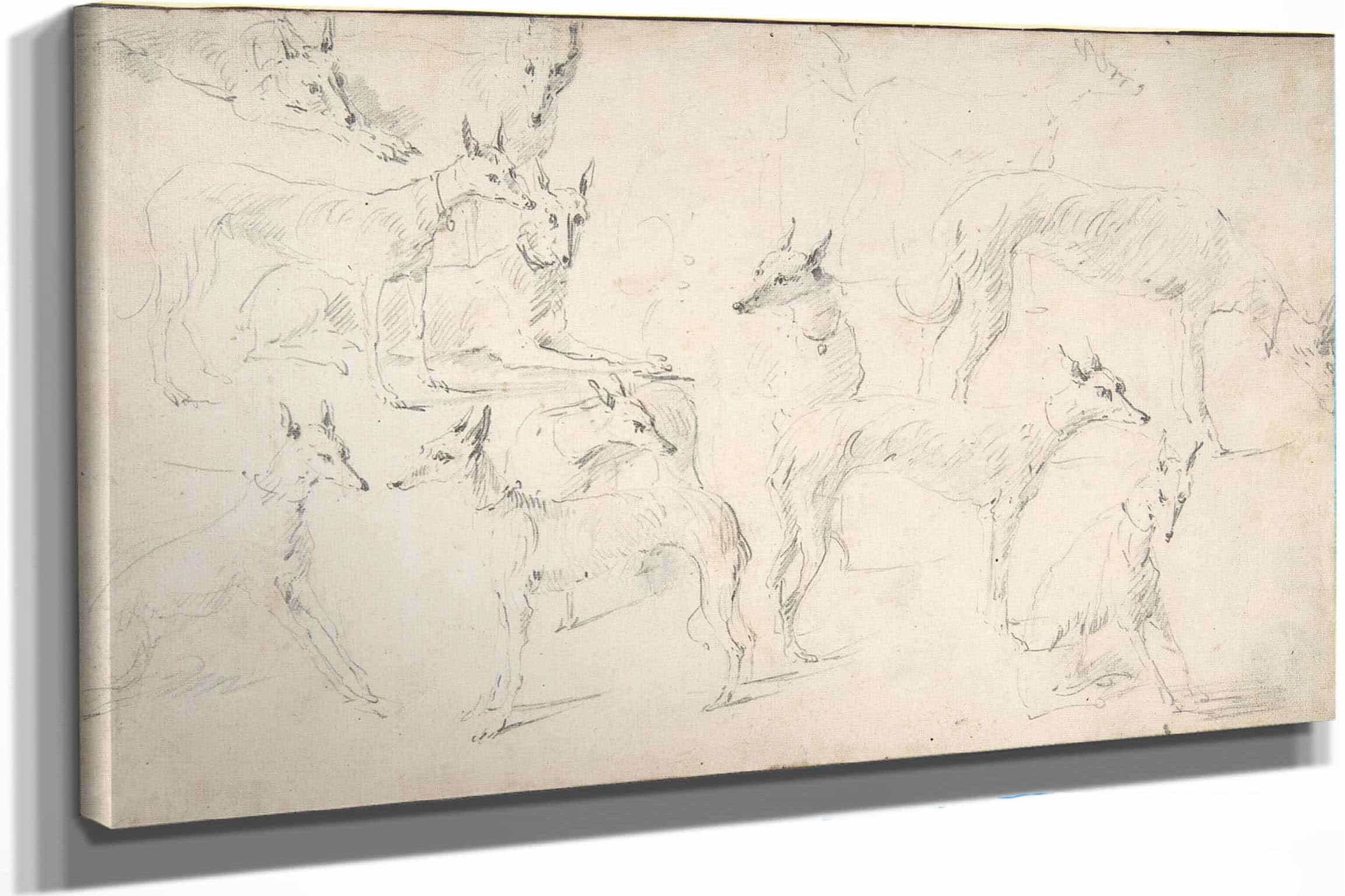 Studies Of Hounds Th Century by David Teniers The Younger