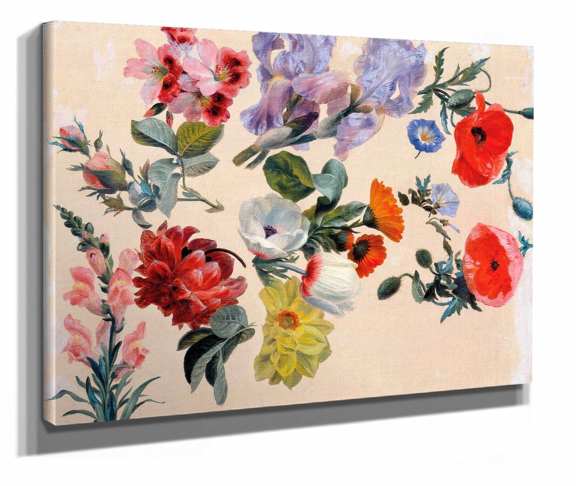 Studies Of Summer Flowers by Jacques Laurent Agasse