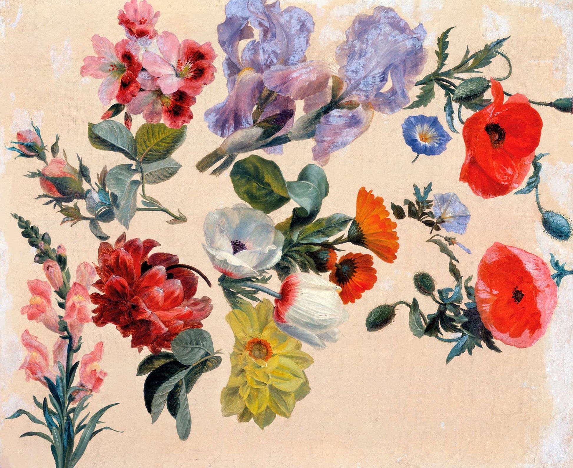 Studies Of Summer Flowers by Jacques Laurent Agasse