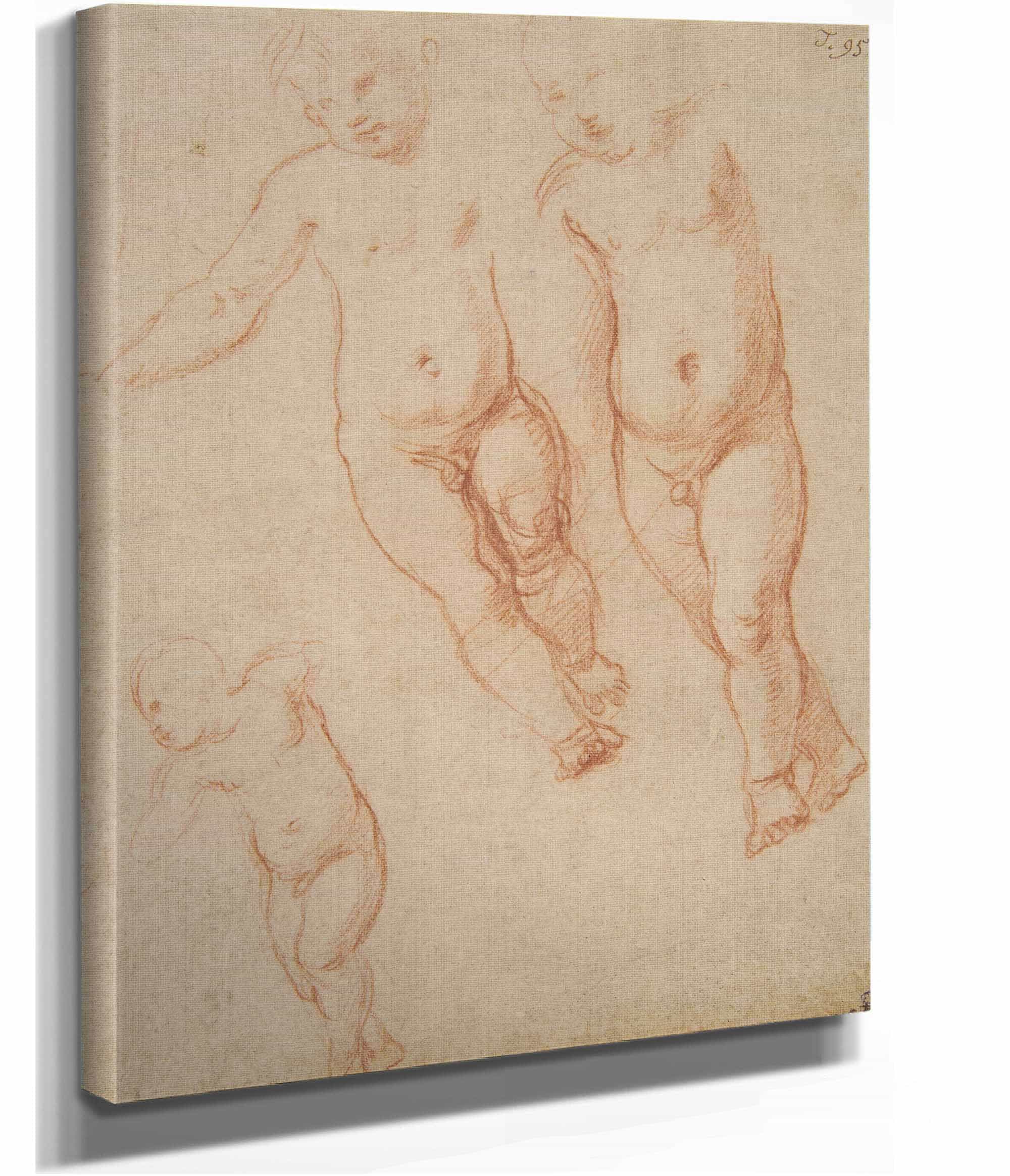 Studies Of The Christ Child   by Raphael