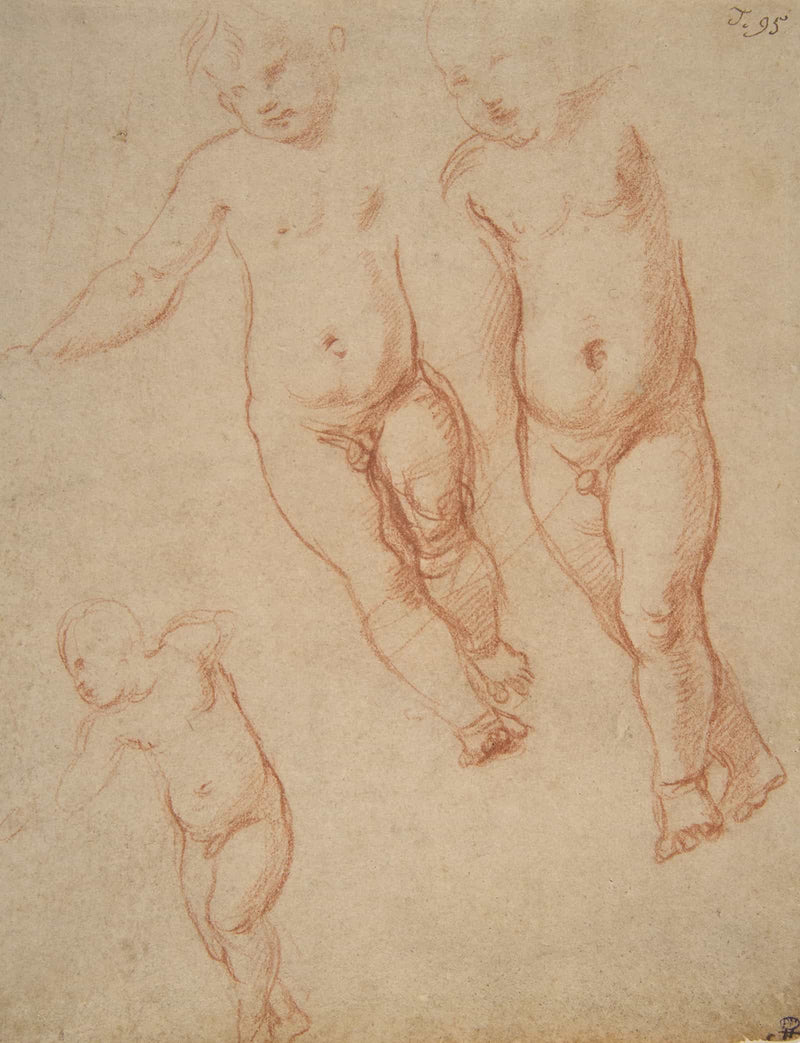 Studies Of The Christ Child   by Raphael