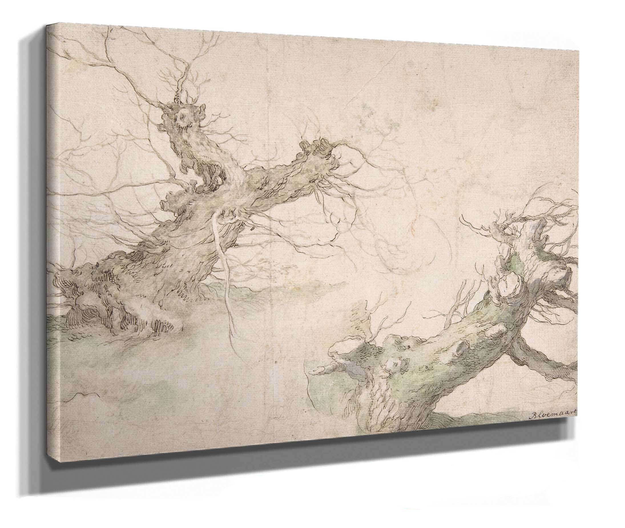 Studies Of Two Pollard Willows Th Century by Abraham Bloemaert