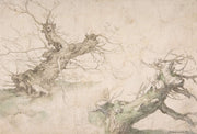Studies Of Two Pollard Willows Th Century by Abraham Bloemaert