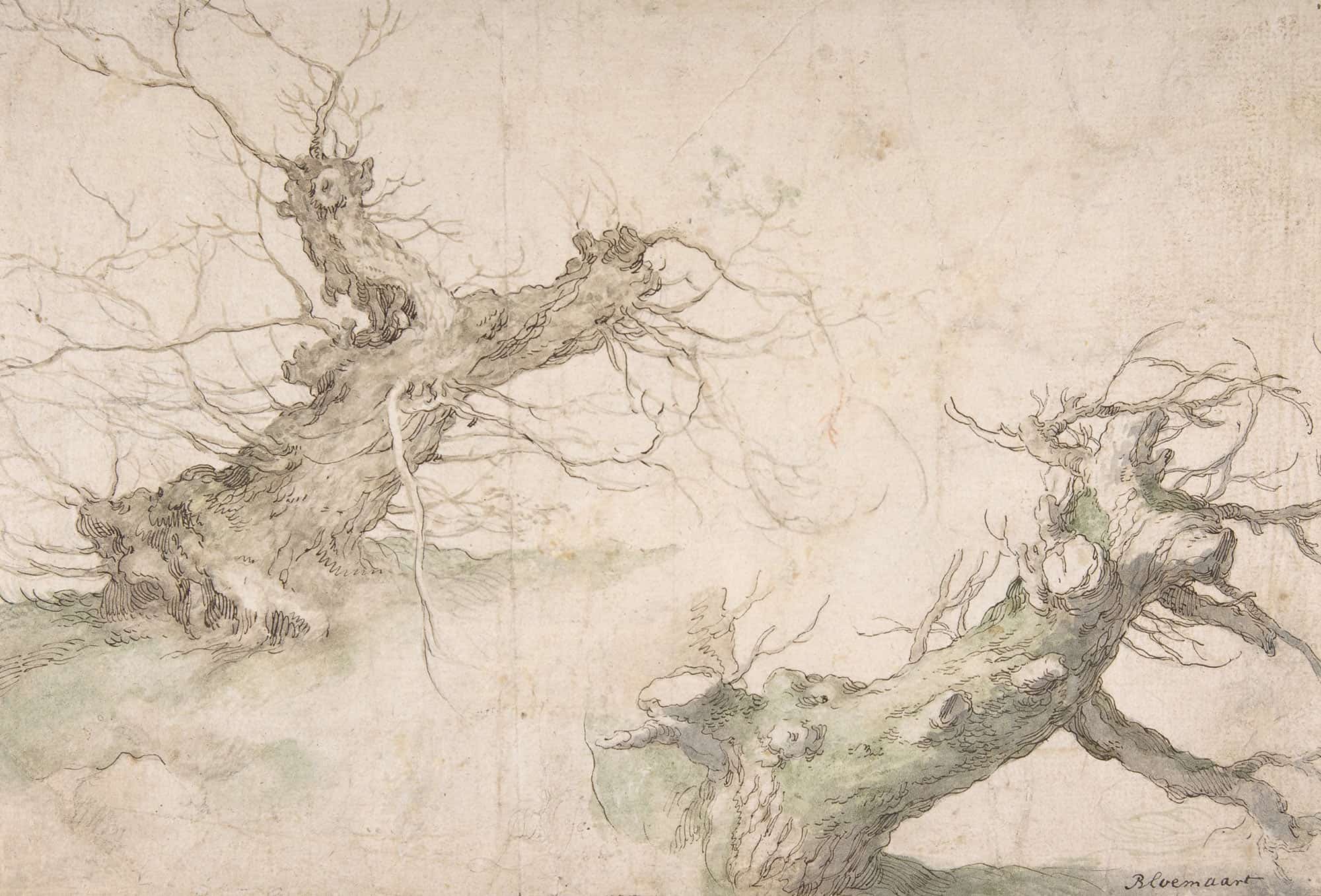Studies Of Two Pollard Willows Th Century by Abraham Bloemaert