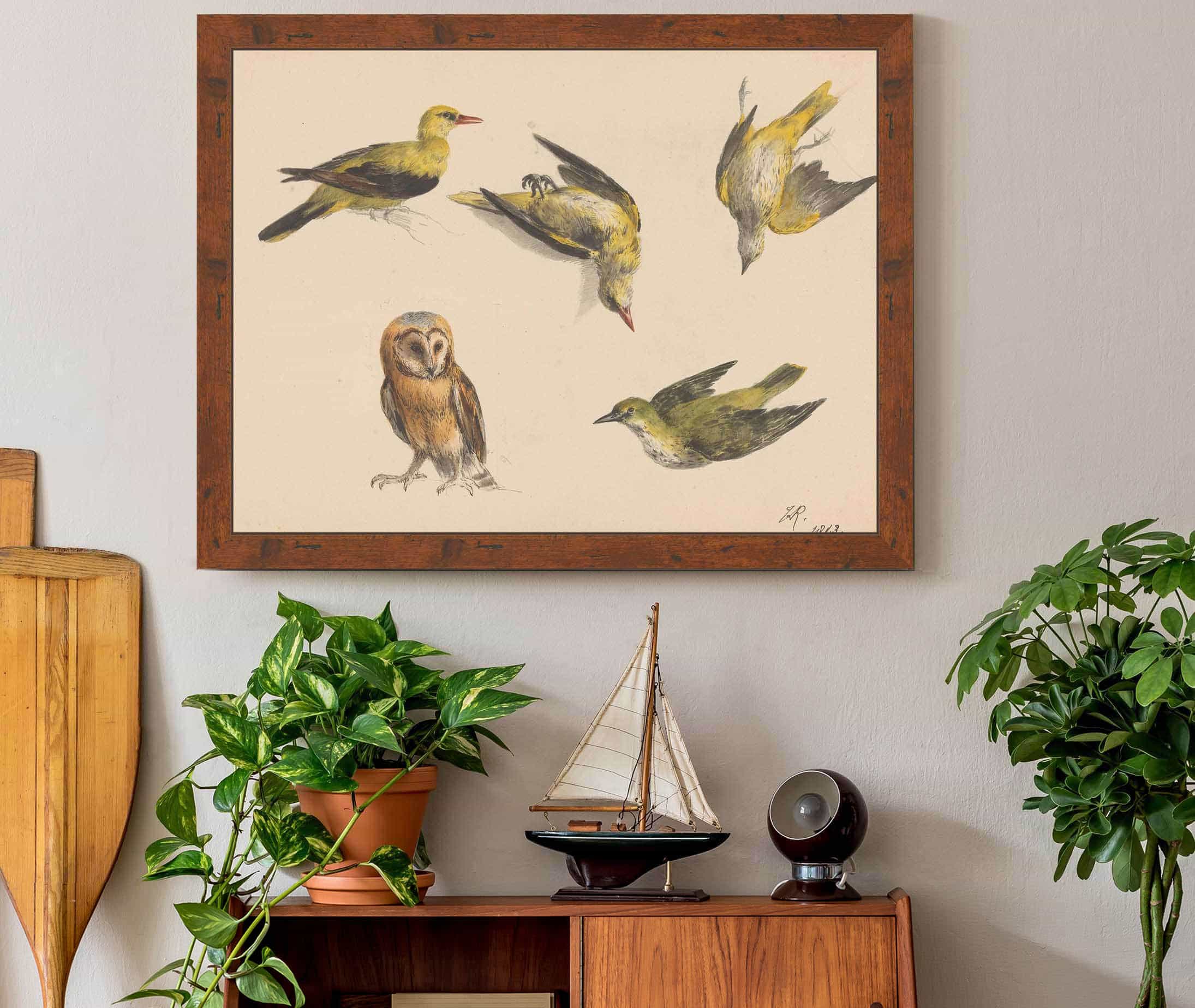 Studies Van Een Uil En Twee Wielewalen by Henriette Ronner Knip