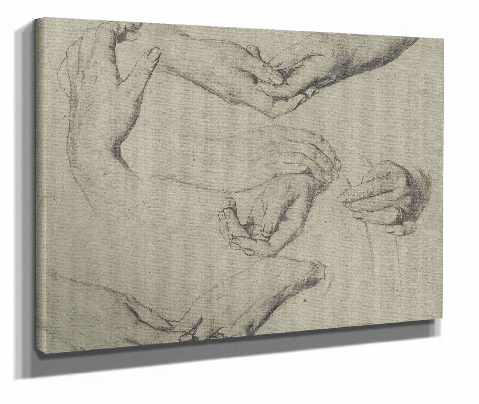 Studies Van Handen by Therese Schwartze