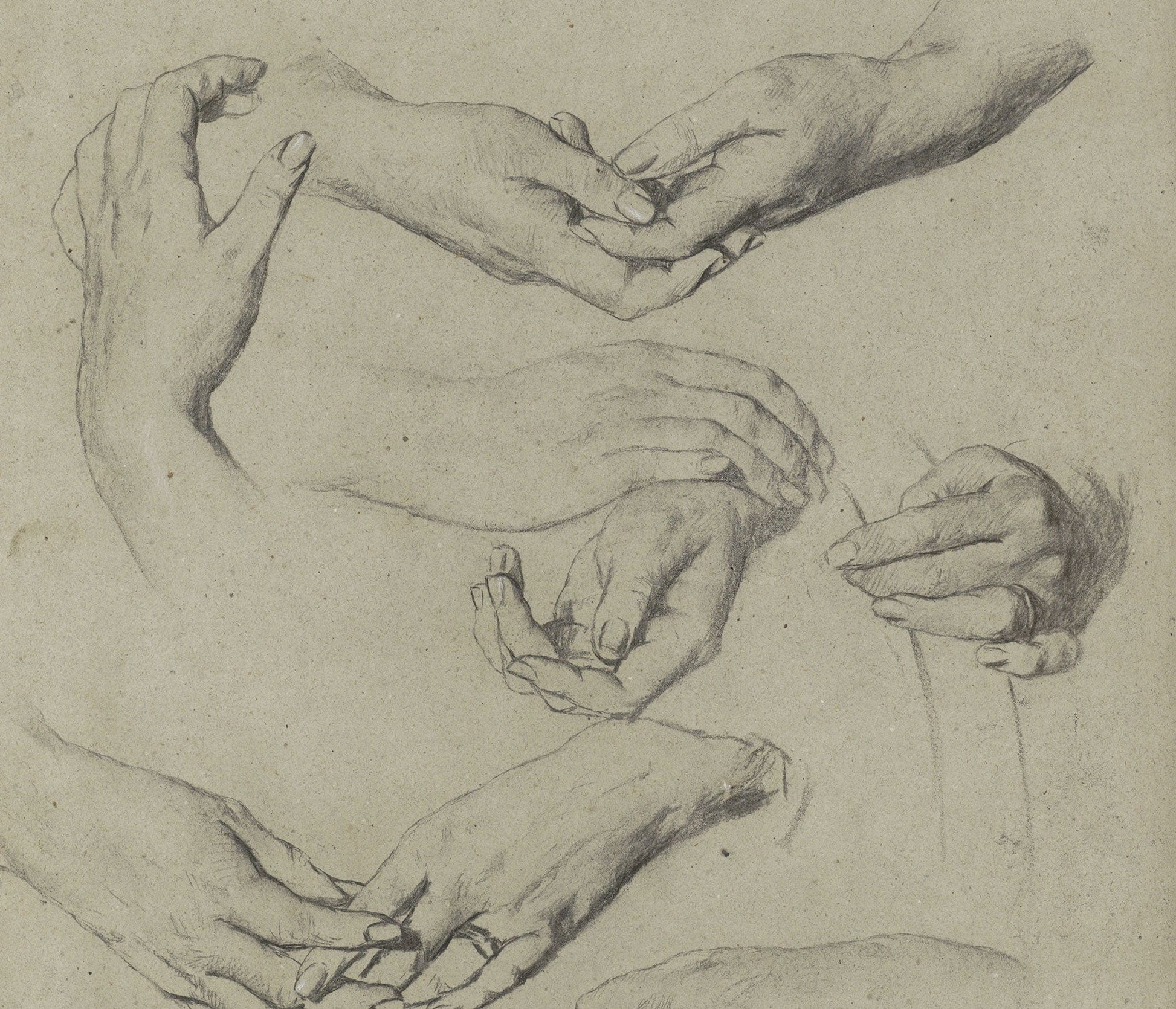Studies Van Handen by Therese Schwartze