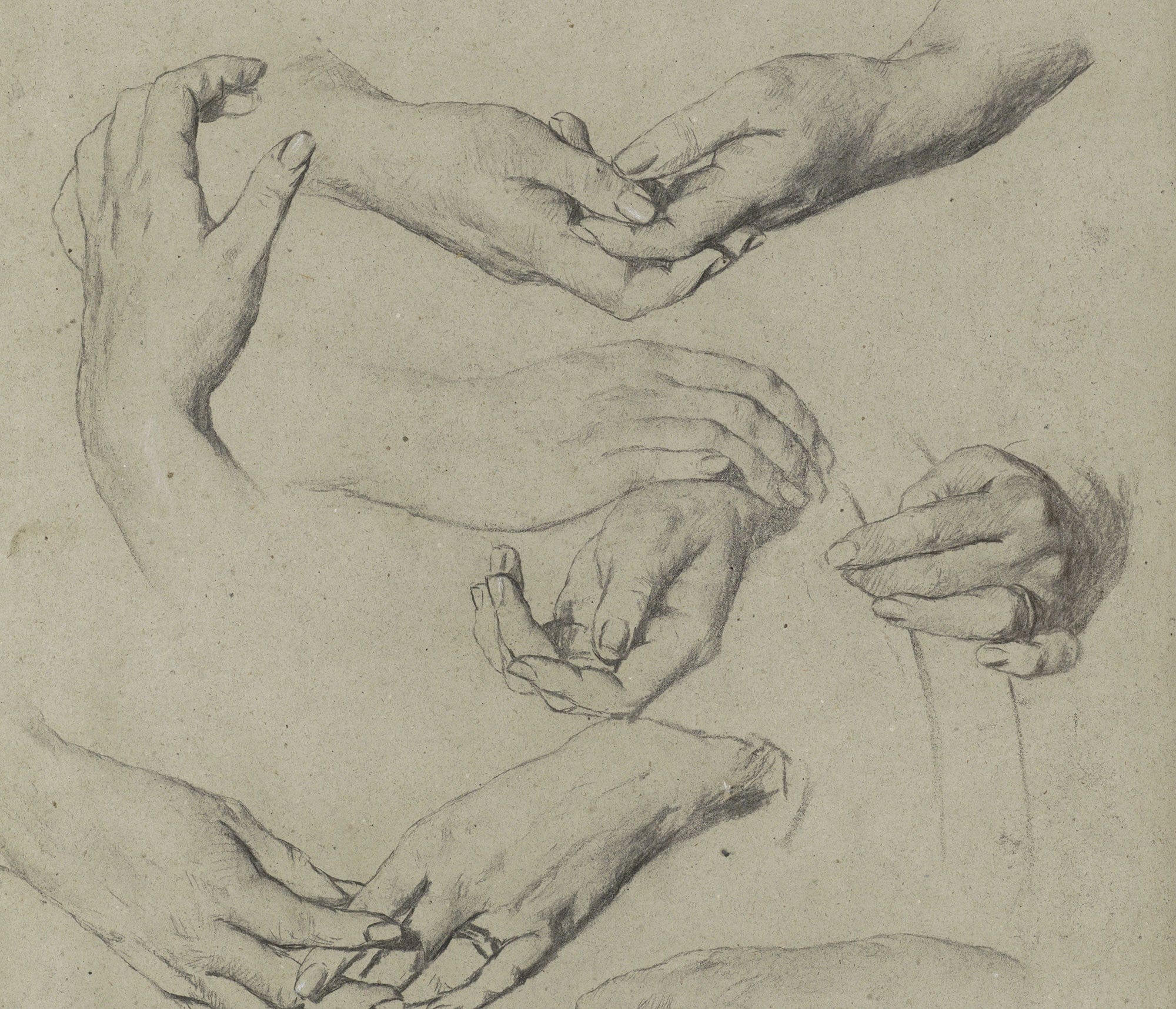 Studies Van Handen by Therese Schwartze
