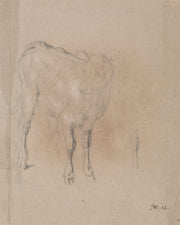 Study Of A Calf by James Ward