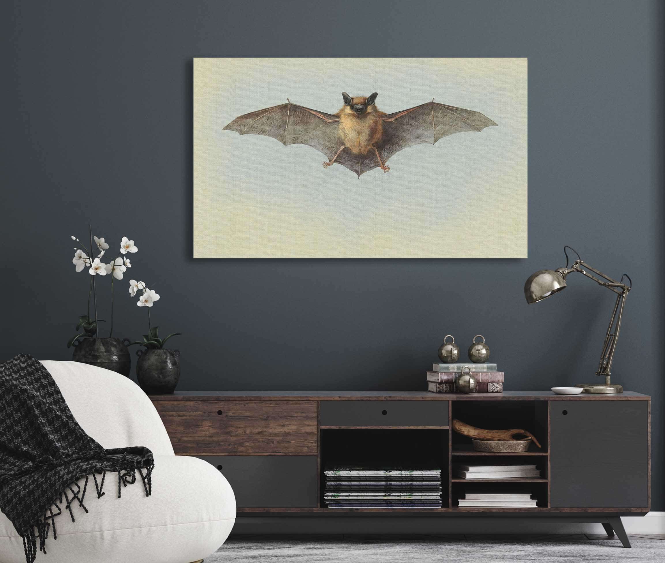 Study Of A Common Pipistrelle Bat by Archibald Thorburn
