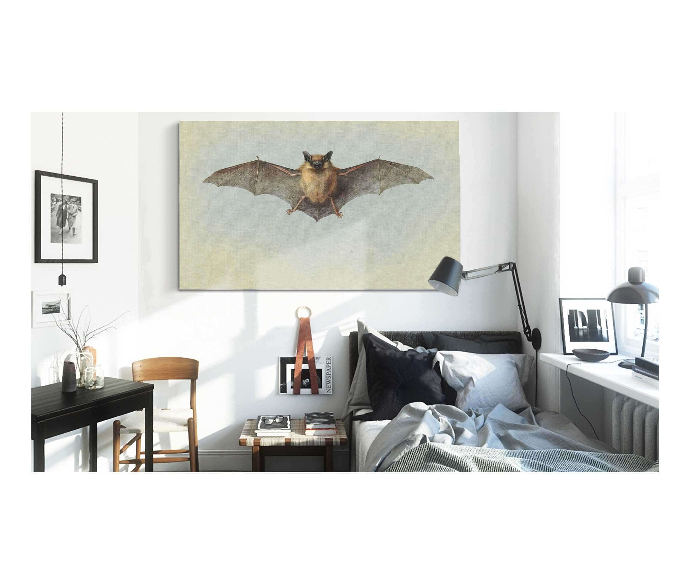 Study Of A Common Pipistrelle Bat by Archibald Thorburn