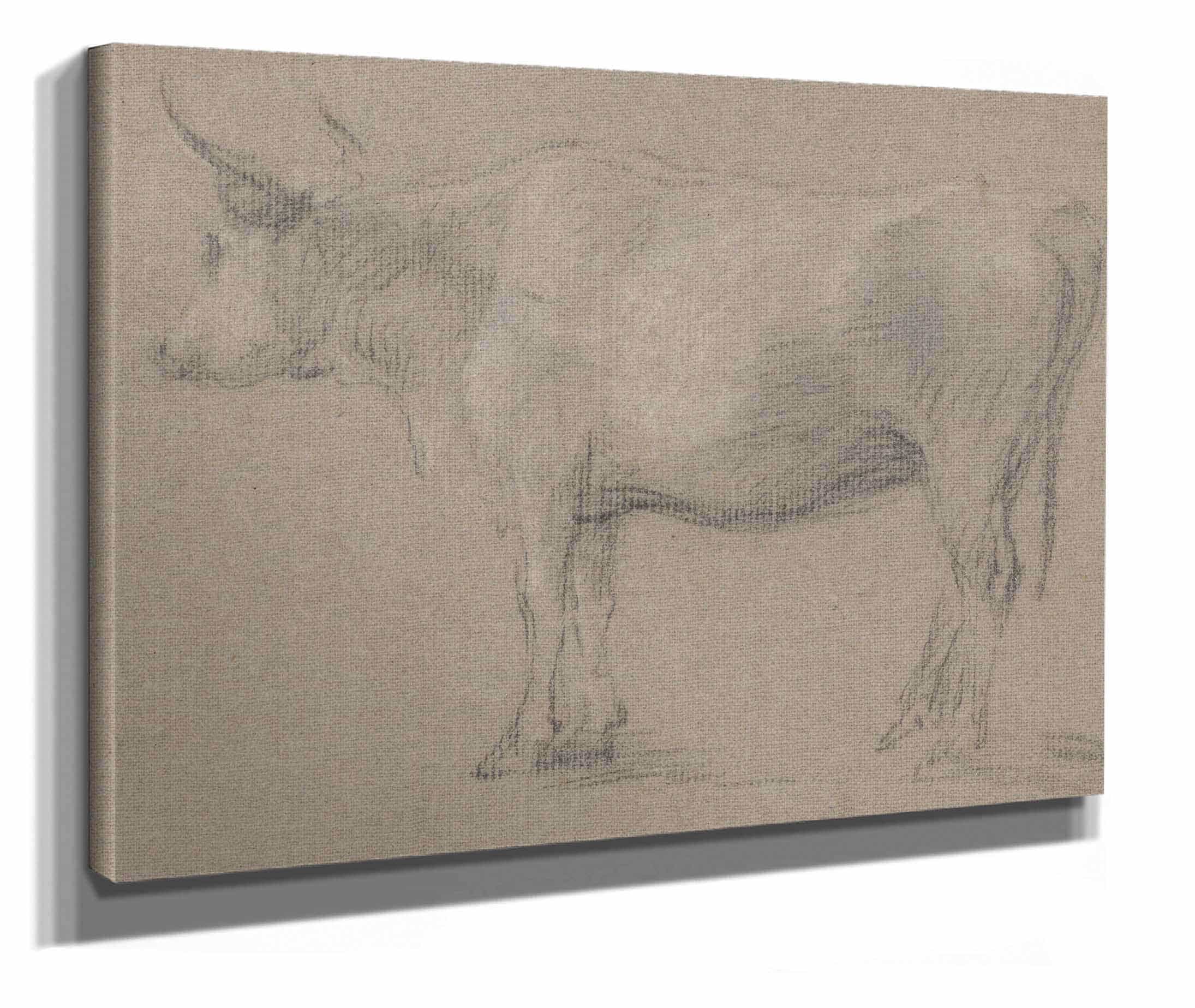Study Of A Cow Between And by Thomas Gainsborough