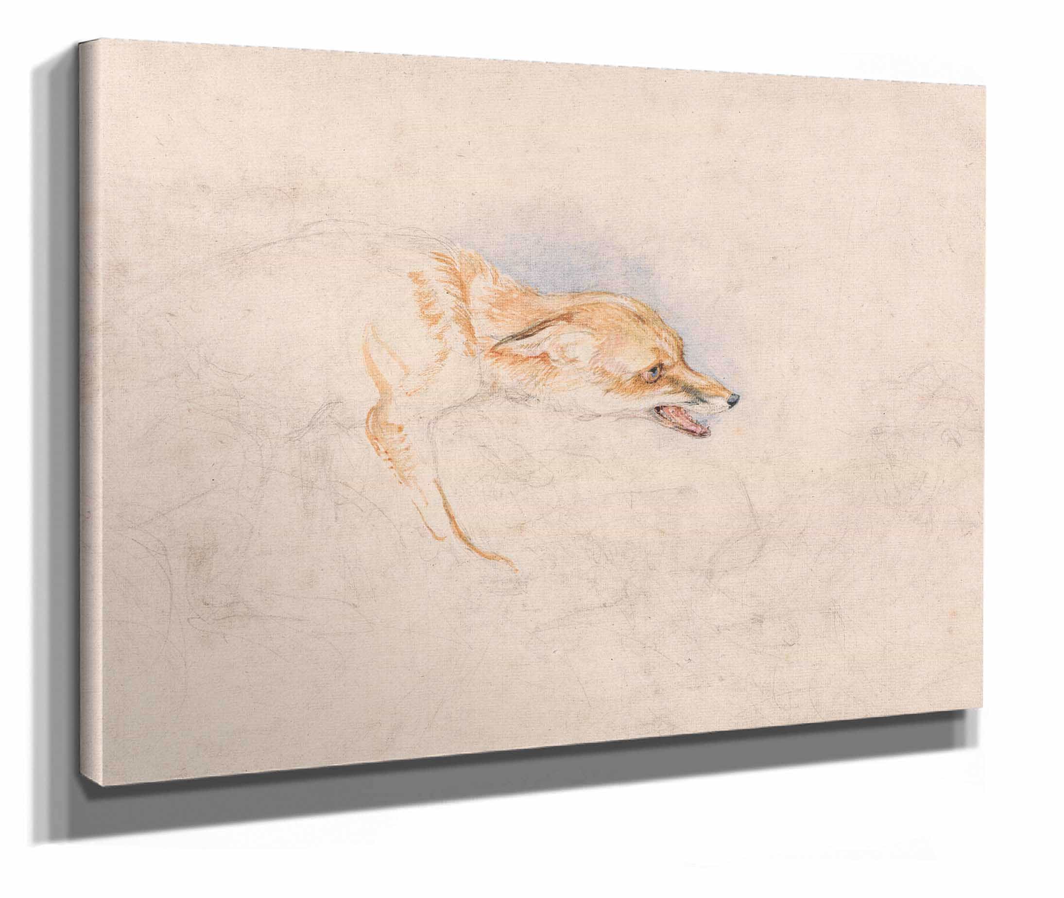 Study Of A Crouching Fox Facing Right by John Frederick Lewis
